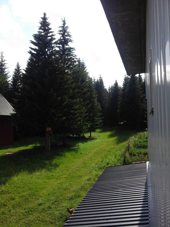 Apartment Luka Žabljak Zewnętrze zdjęcie